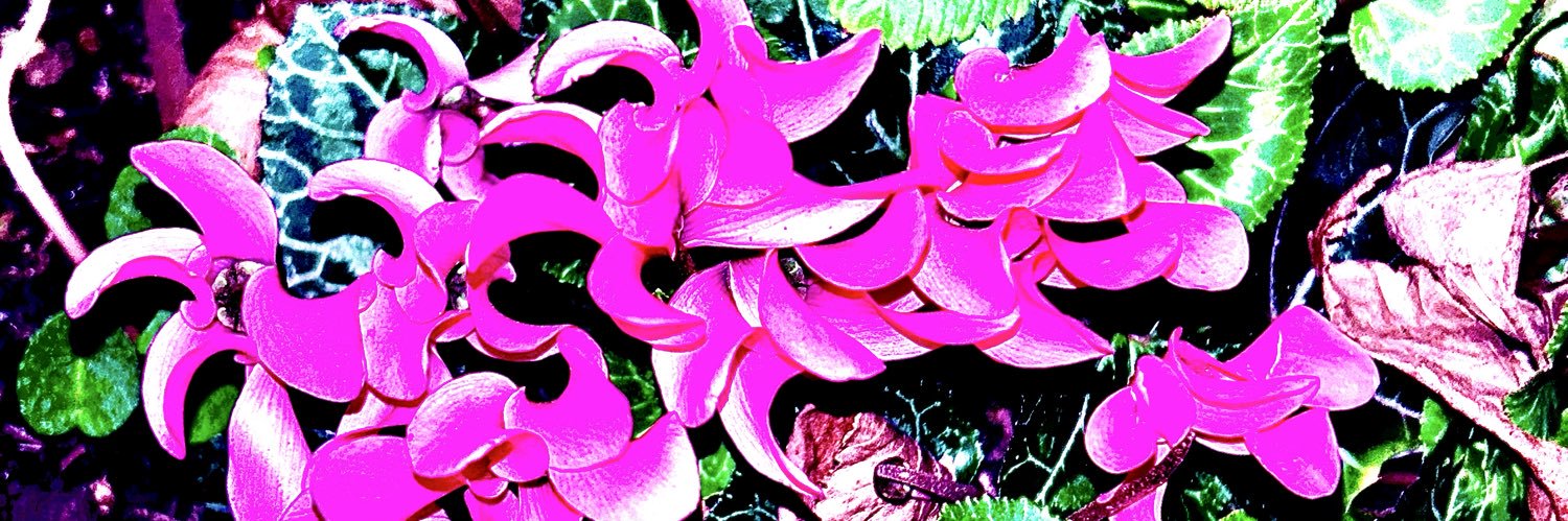 iOS banner
