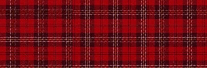 ଘ𐂂 Bambi (tom & bill’s version!) banner