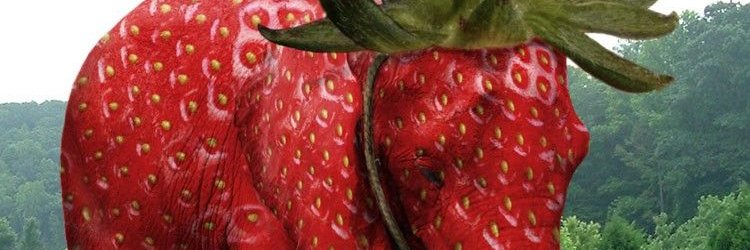 Pilowcito's profile banner image