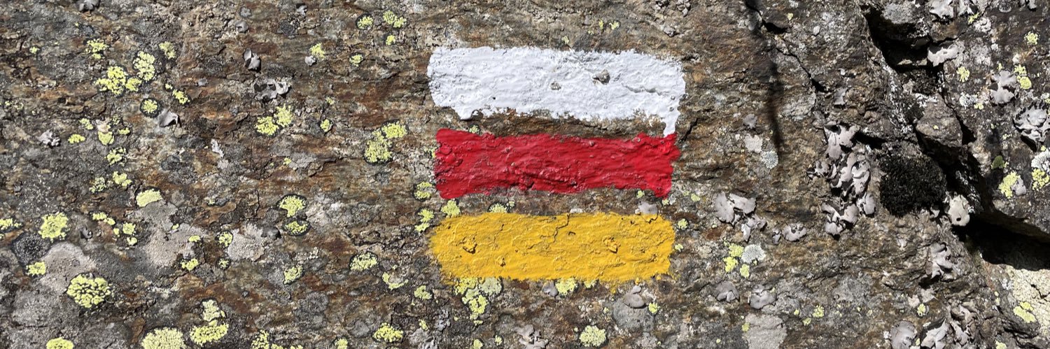 Víctor Palomar banner