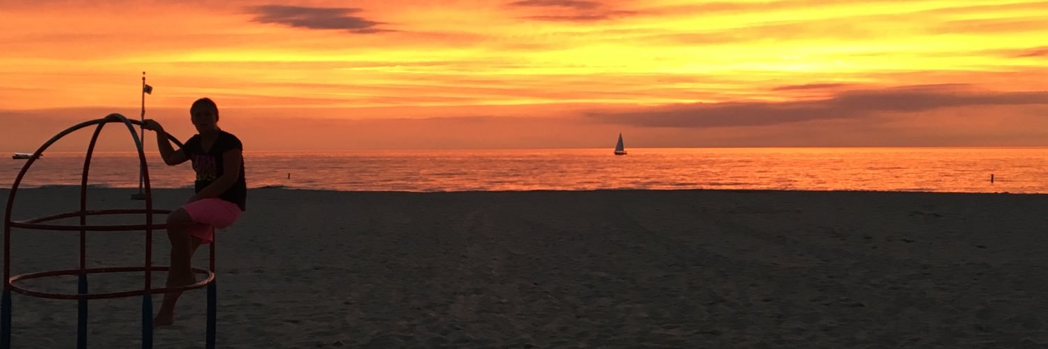 jamiedebruyn's profile banner image