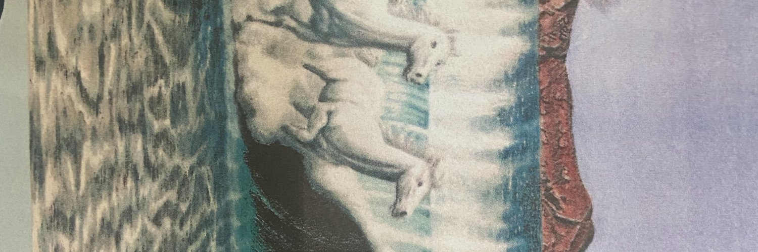 RodrigoRR's banner