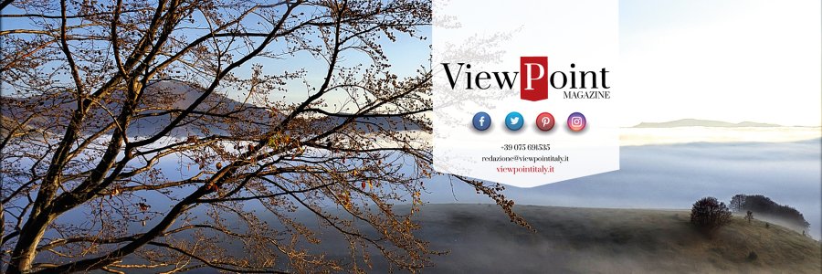 Viewpoint banner