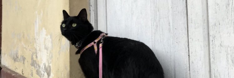 jenifeeers23's profile banner image
