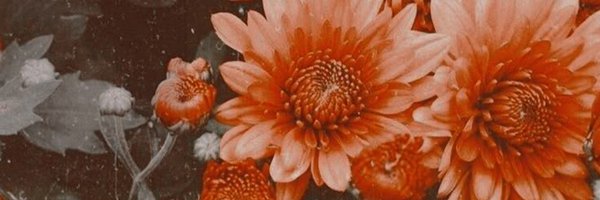 kavehdaher Profile Banner