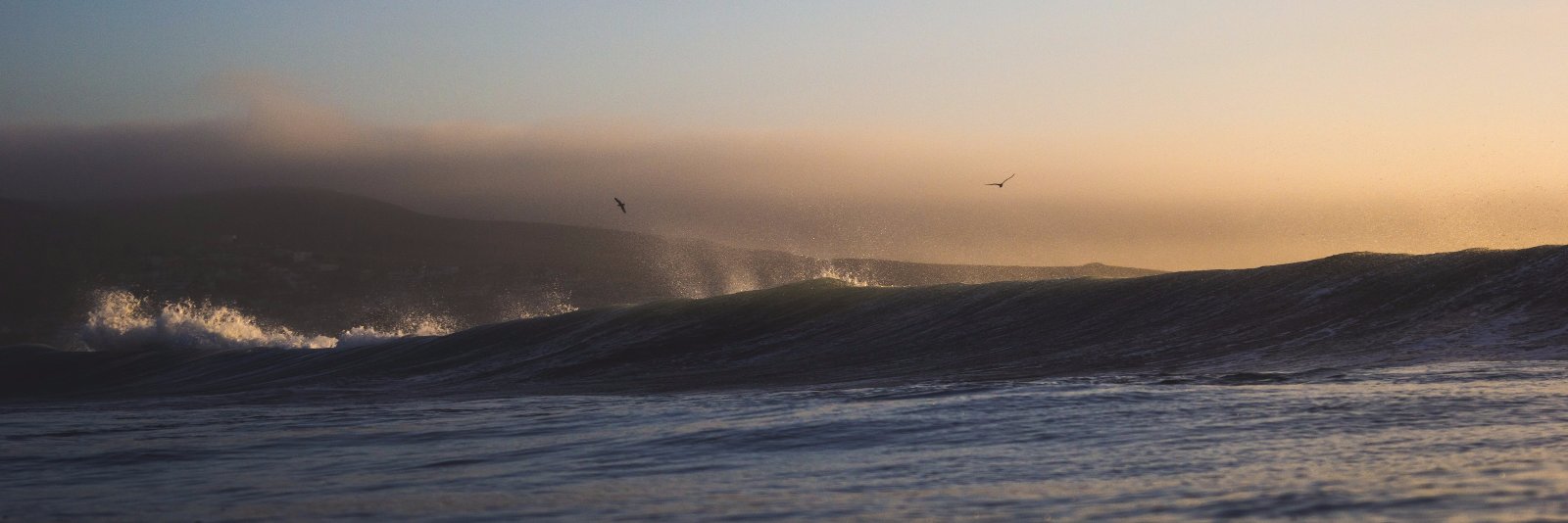 Etienne Ricco banner