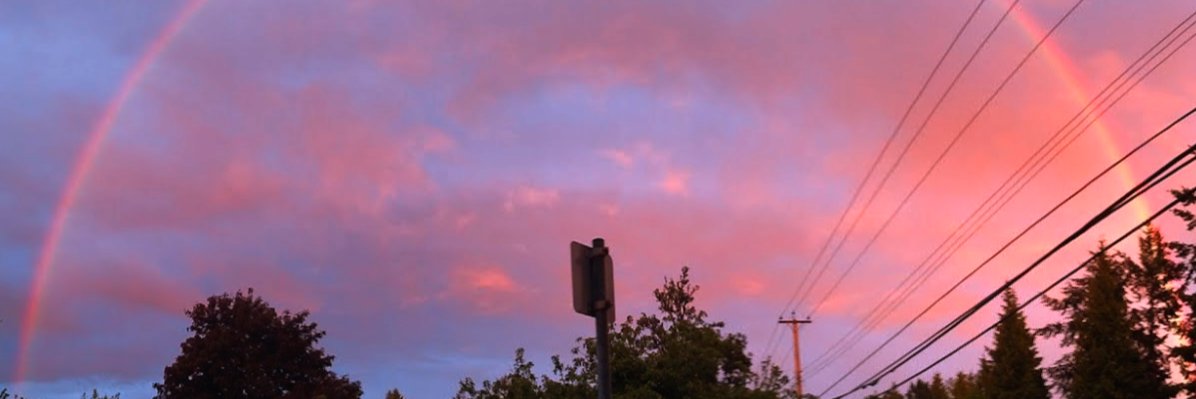 calcitecreature's profile banner image