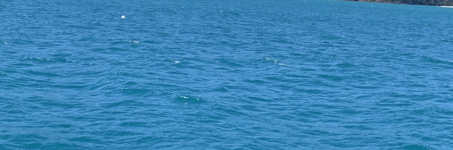 MatthewVal81027's profile banner image