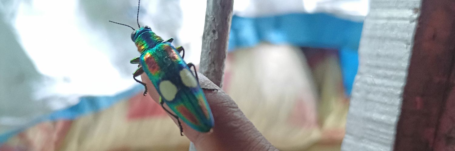 yeasin8101's profile banner image