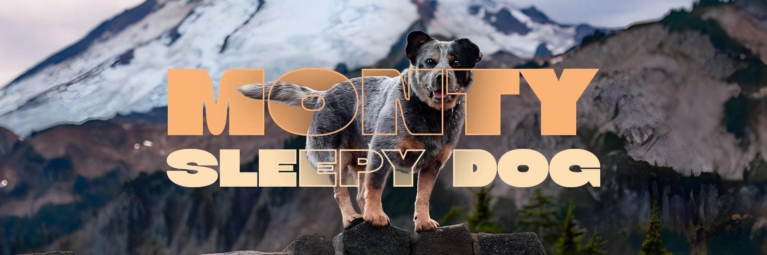 MontyDog_Coin's profile banner image