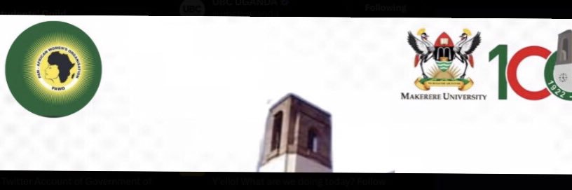 Pan African Women’s Organization MAK Chapter banner