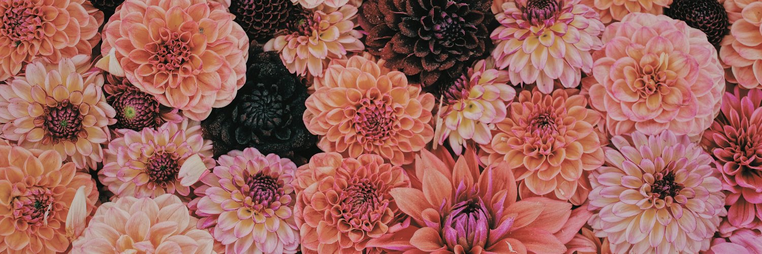 annafertiz's profile banner image