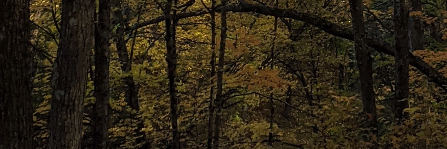 FriedrichSauer's profile banner image