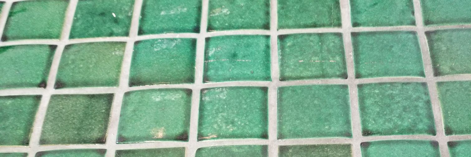 Ms. Carolyn Boudreau banner