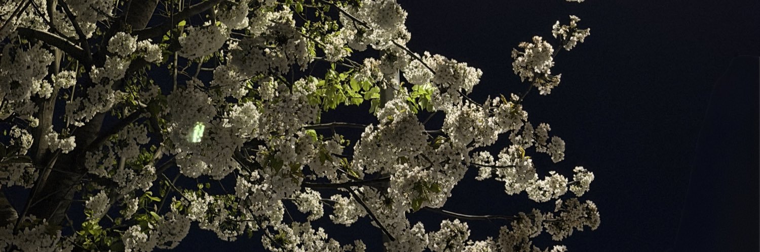 neyazsamblmdm's profile banner image