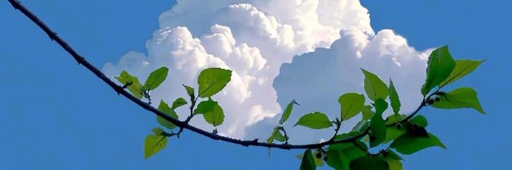 nn__mhmd's profile banner image