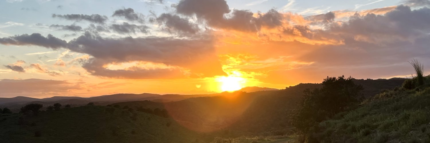 organiclia's profile banner image