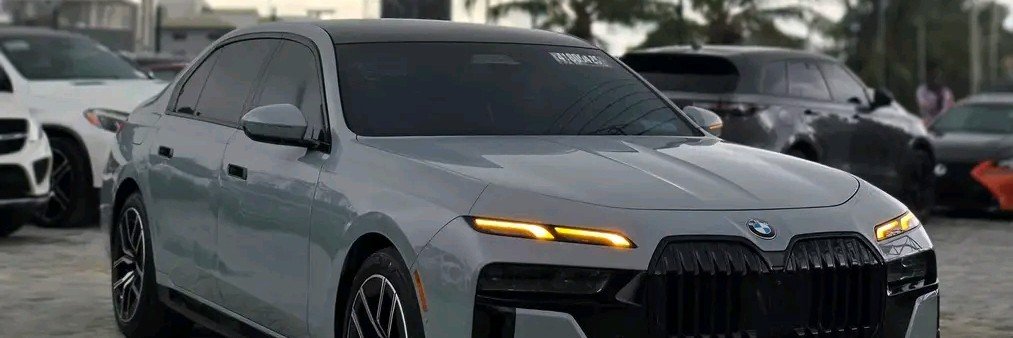 zen_riget's profile banner image