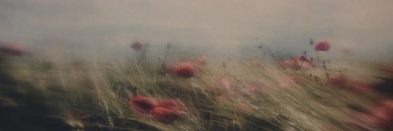 آلاء banner