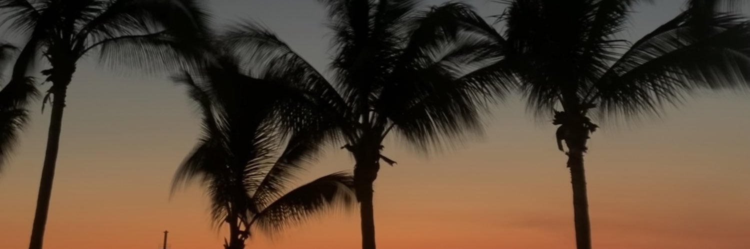 Carourias's profile banner image