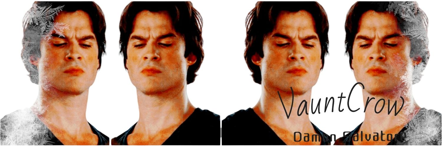 Damon Salvatore banner