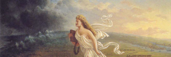 Stephen Fiehler banner