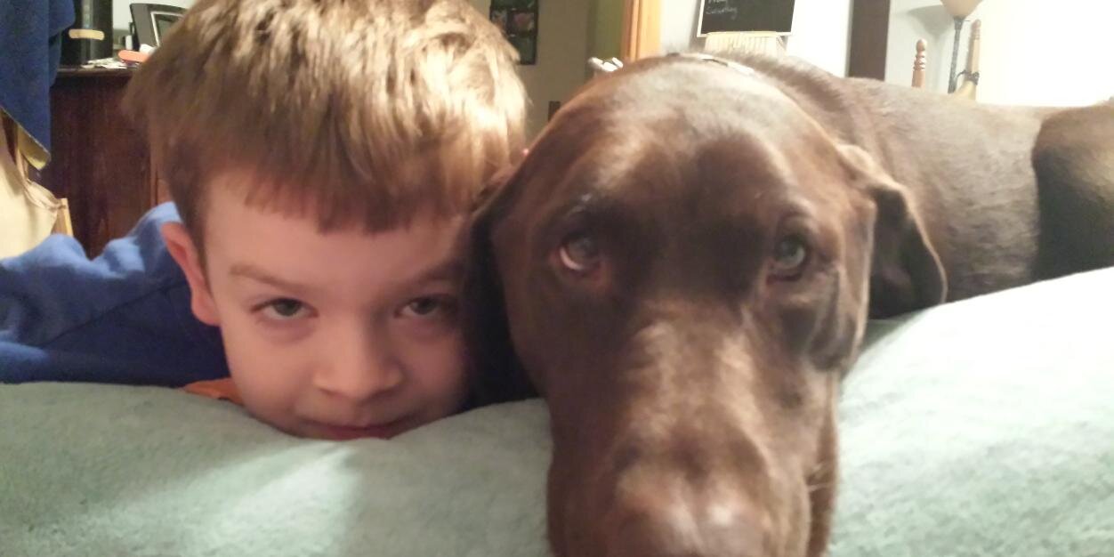 Paws4Autism's profile banner image