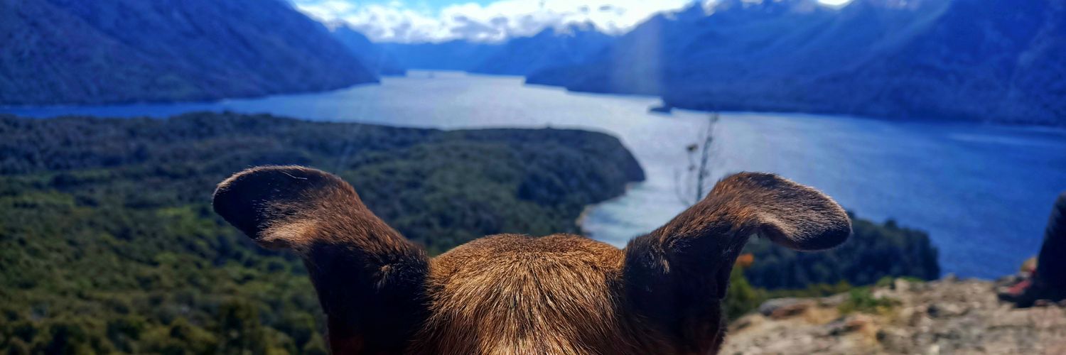 VMariaNoel's profile banner image
