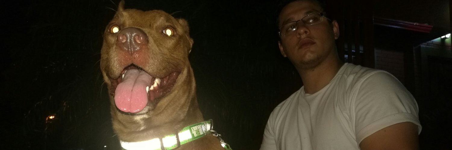 Diego_splinter's profile banner image