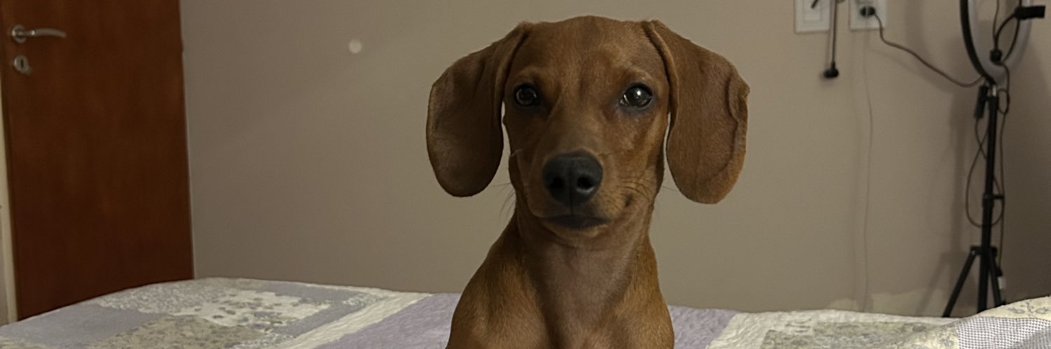 malatiniflor's profile banner image