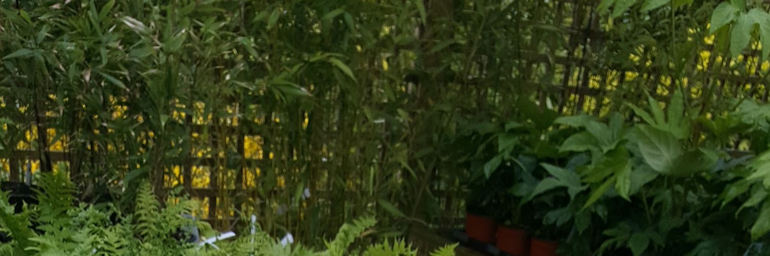 rachelala's profile banner image