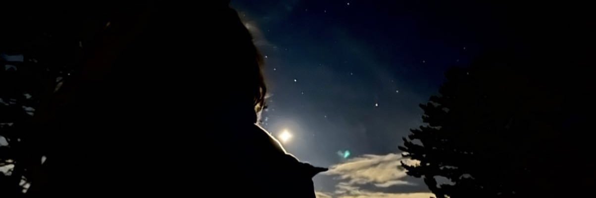 armorfordani's profile banner image