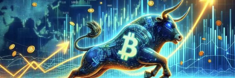 BULL•RUN•RUNES banner