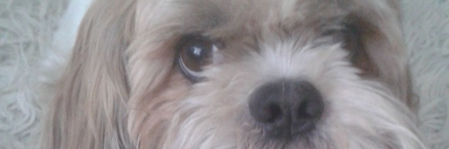 Aimee Kenwright banner