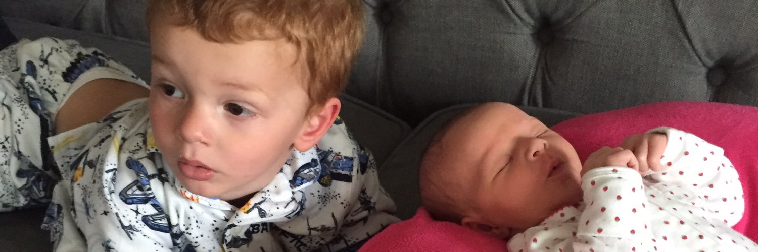 Allison K Scarinzi banner