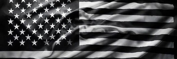 tinfoilCat69 Profile Banner