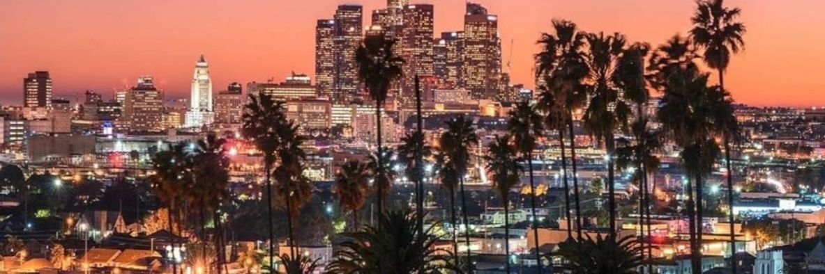 schweinsteiger banner