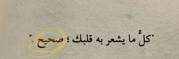 Bortreeh Profile Banner