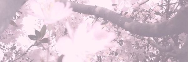 _CallMeCupid Profile Banner