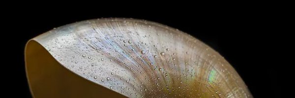 fromPritish Profile Banner