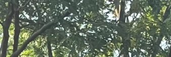 Richard_Pape672's profile banner image