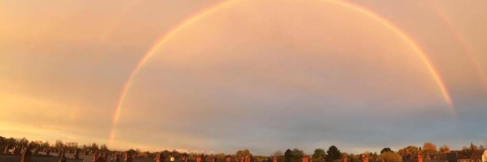 awildt's profile banner image
