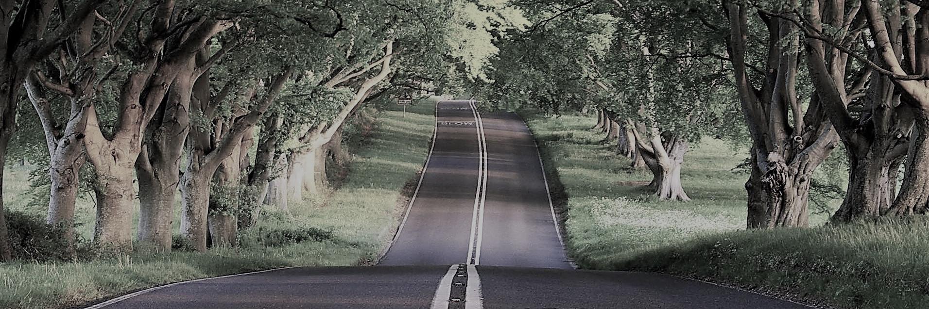 ozkancvs's profile banner image
