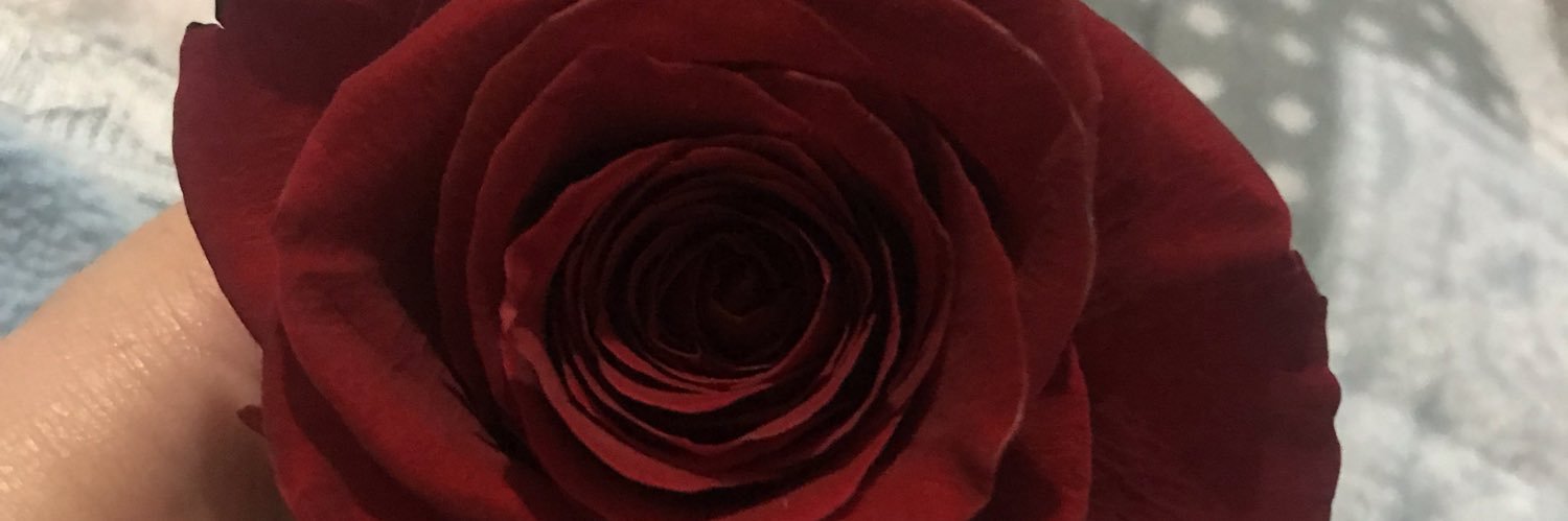 borboletta20's profile banner image