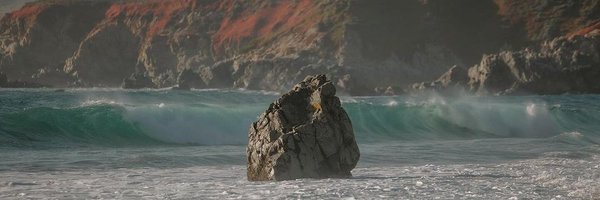 CoastalFuturist Profile Banner