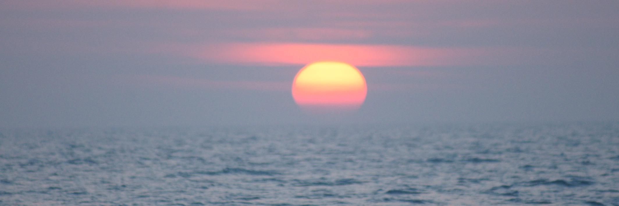 PierreCulot's profile banner image