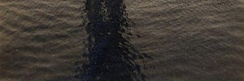 IKaulina's profile banner image