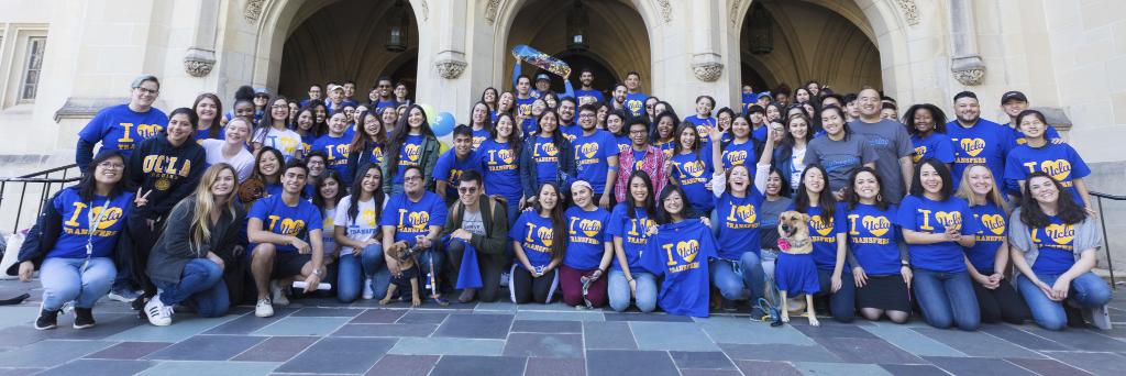 Heather Adams banner