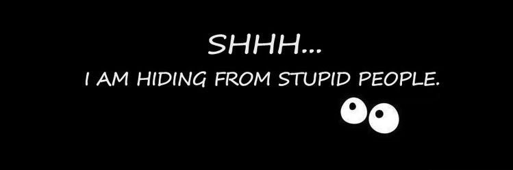 Bryam Gálvez banner