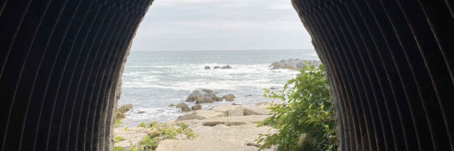Moê's banner